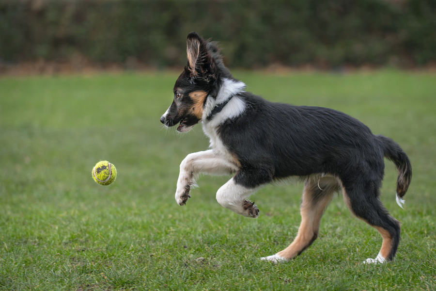 02 Feb - Sport en spel