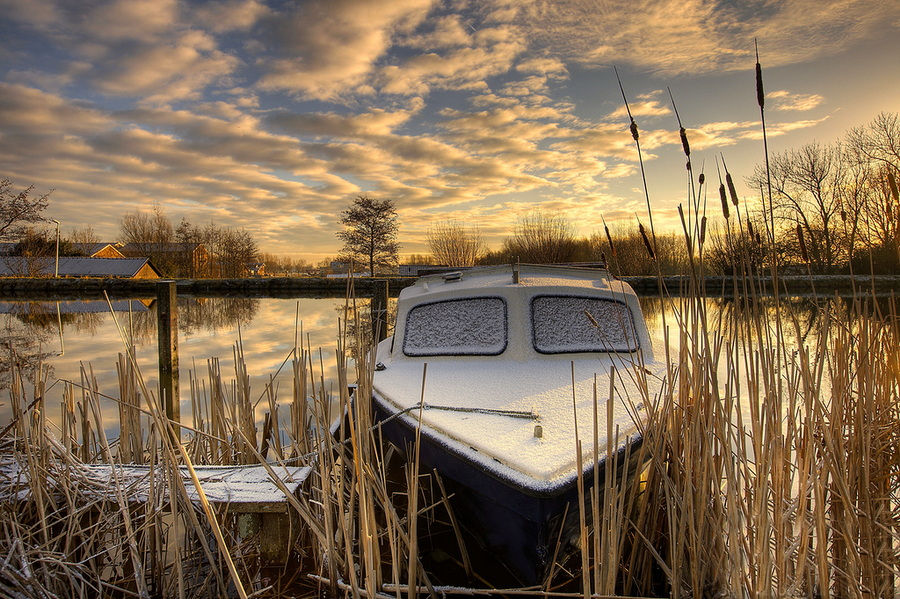 Wk 20 Verscholen in het riet