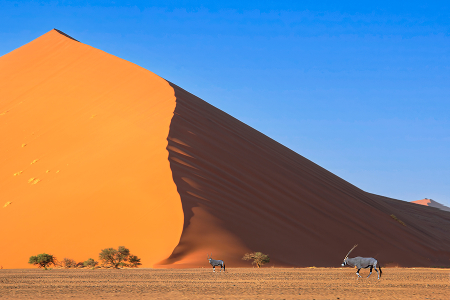 Wk23 Sossus / Namibië