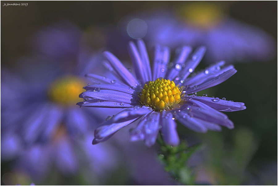 Wk25 The beauty of autumn