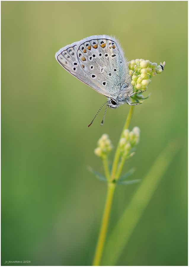 Wk 39 In the spotlight