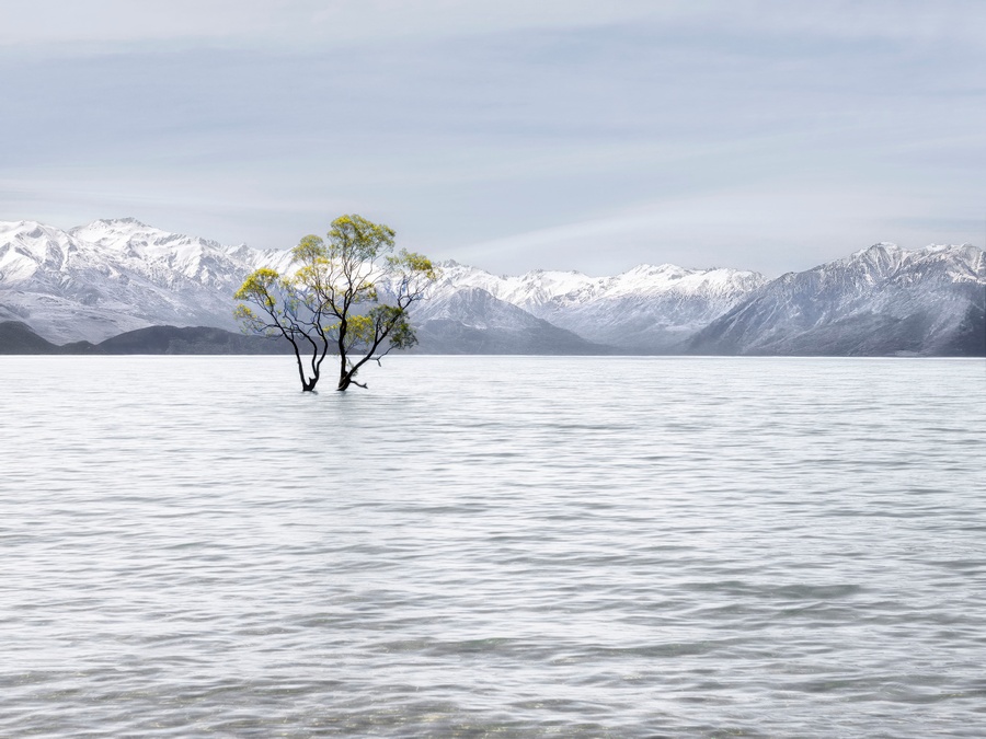 Wk 2 Lake Wanaka