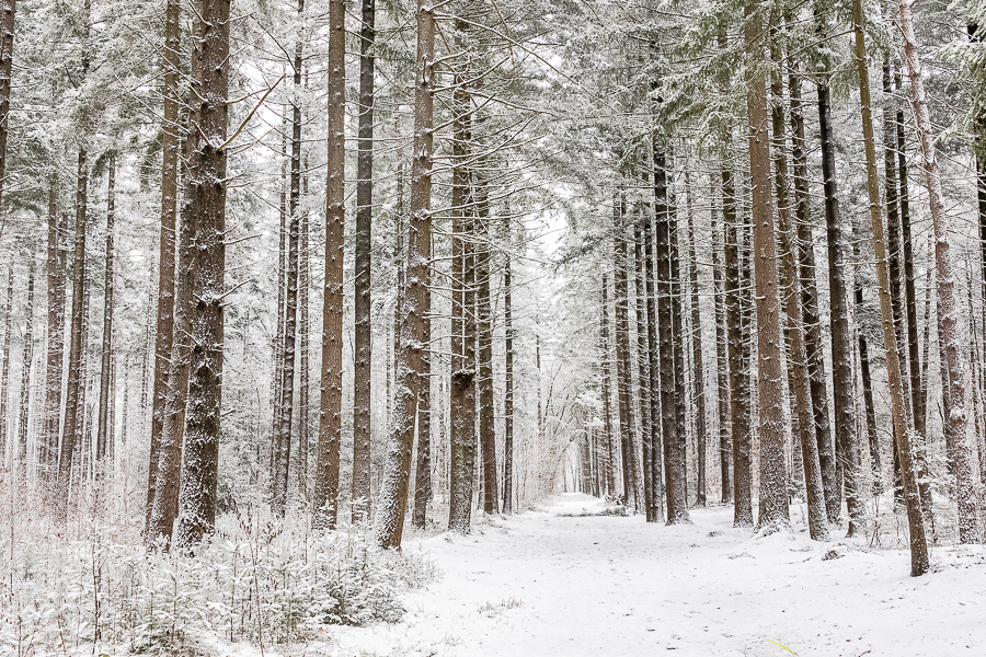 01 Tony - Winter Jan 26