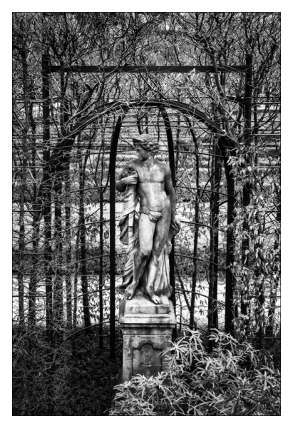 Maandopdracht februari 2026 - petervaneekelen