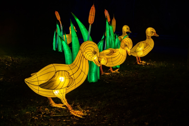 China festival of lights