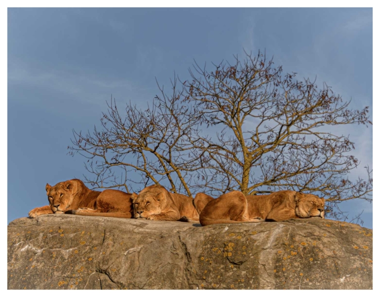 Luieren in de winterzon