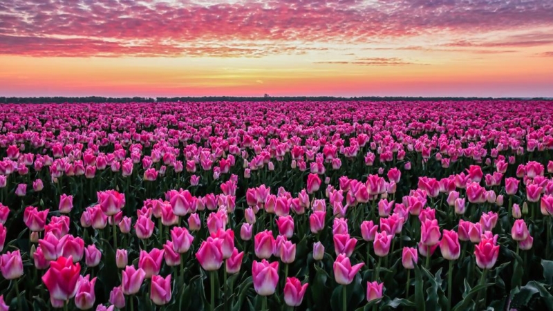 Groeten uit Flevoland 3. + Update