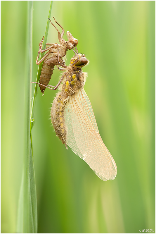 Week 33 - A new beginning...