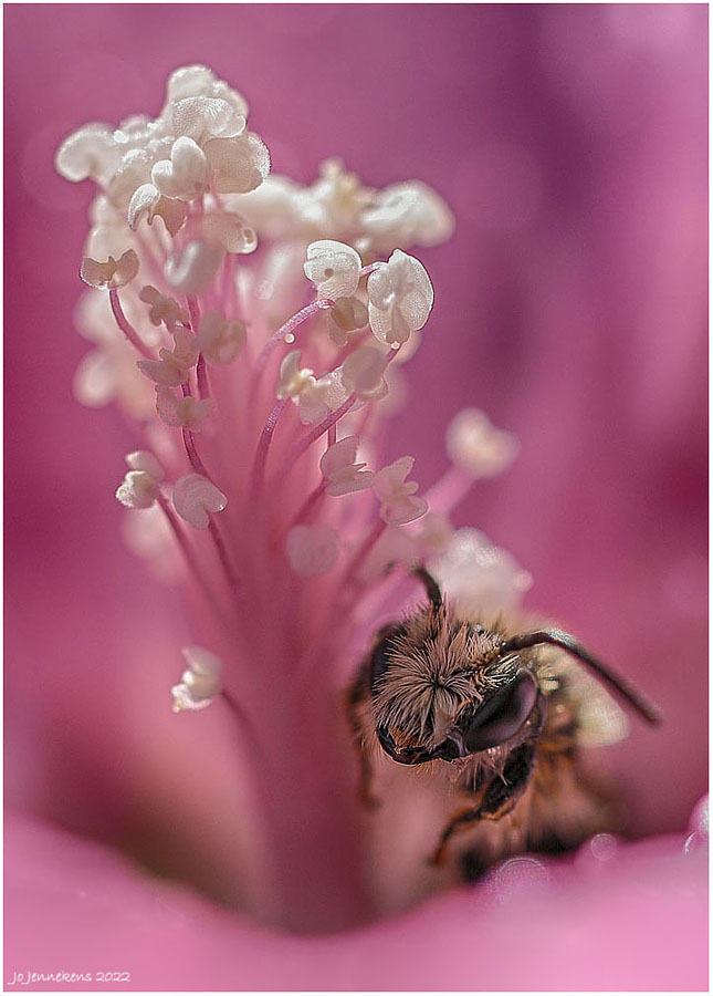 Week 50   Verstoppertje