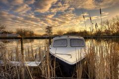 Wk 20 Verscholen in het riet