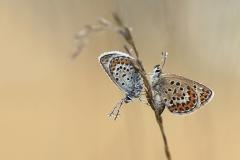 Wk34 samen wakker worden