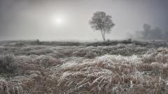 Wk 48 een heerlijk koude ochtend