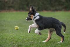 02 Feb - Sport en spel