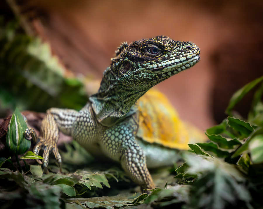 03 Mrt - Monsterlijk