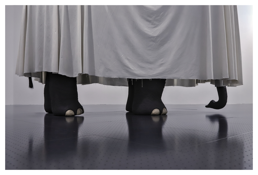 07 Juli - Verstoppertje